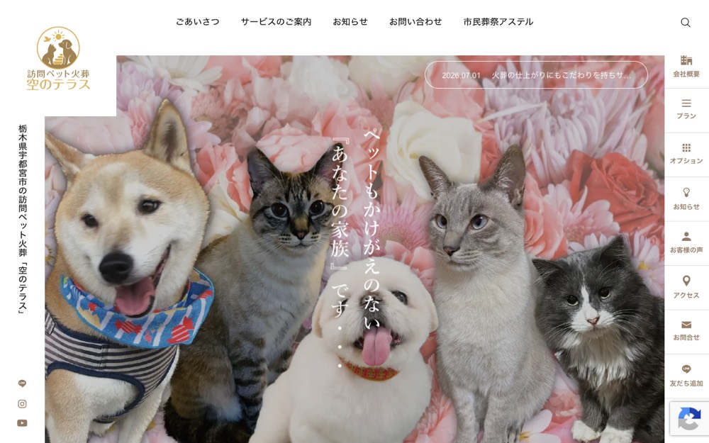 空のテラス 公式サイト